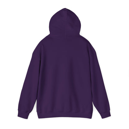Copy of Copy of Unisex Heavy Blend™ Hooded Sweatshirt